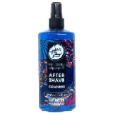 Rolda Midnight After Shave Tonic for Men